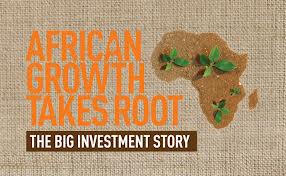 african investment story