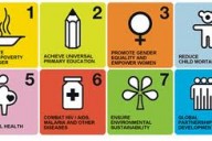 millenium development goals